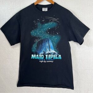 Vintage Devils Tower Wyoming T Shirt Mens Medium Tee Y2K Puff Print Mato Tipila